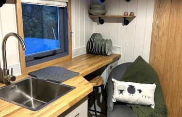 Shepherds hut, Eco, Log burner Hot tub NY moors - Foto 19