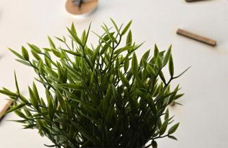 Sweet Home - Foto 35