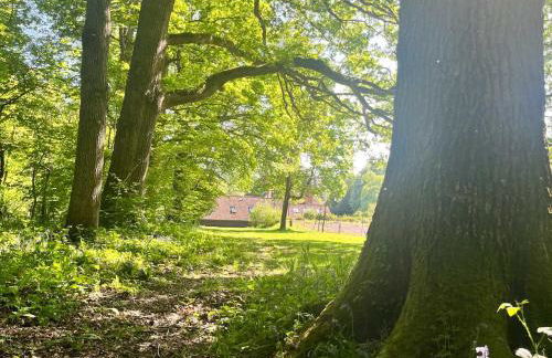 Tranquil One Bedroom Countryside Retreat - Foto 11