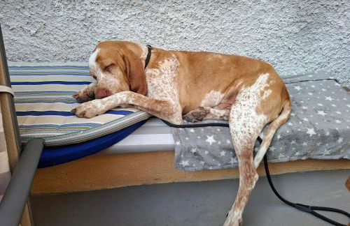 Villa Viola - Foto 41