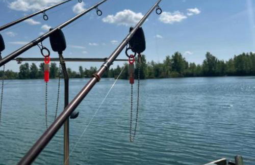 Lotus Pearl Lake Retreat Apartments - Foto 13