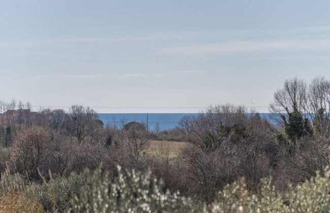 Holiday Home in Novigrad With Private Pool - Foto 32