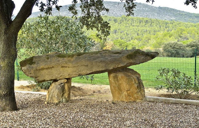 Apartament la Terrassa - Mas el Brugue - Foto 14