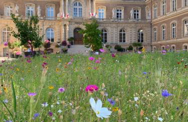 Vue exceptionnelle sur la place Gambetta Plein centre cafés restos idéal séjour pro ou en famille - Foto 39