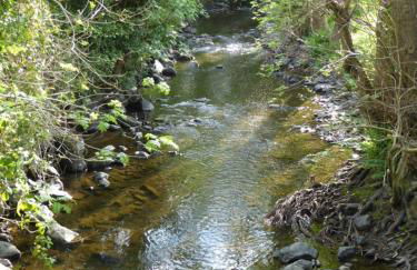 Hafannedd - Photo 25