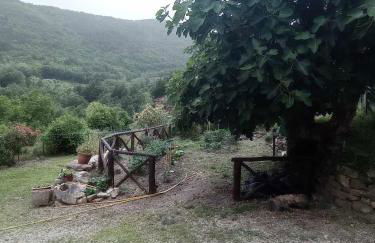 La caciaia di Bulcianella - Photo 20