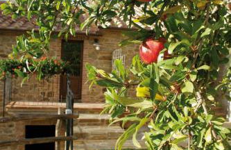 Agriturismo Le Calle - Foto 17