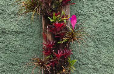 Casa Colonial Caborê - Photo 15