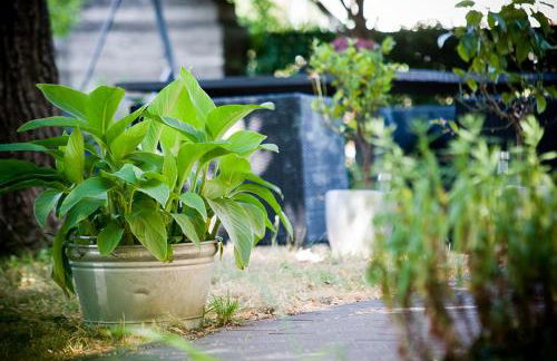 Ferienwohnung am KunstTurm - Foto 12