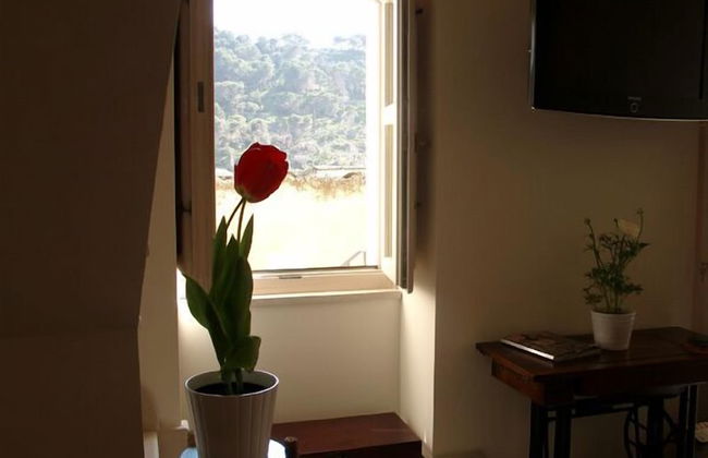 Chicchi di Melograno - Foto 17