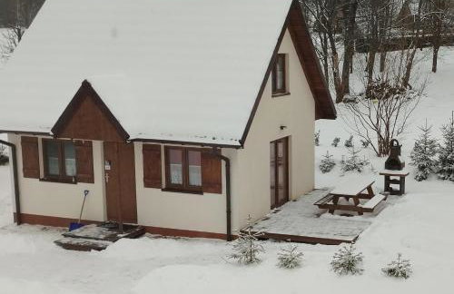 Domek Bieszczadzkie Brzegi - Foto 1