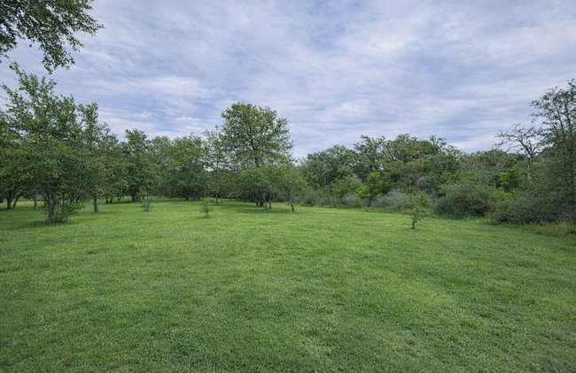 Log Cabin for Family Glamping Vacation near San Antonio - Foto 49
