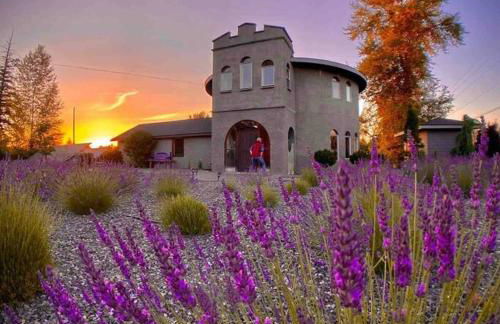 Lavender Castle - Foto 1