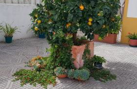 Rota do Viajante - Foto 25