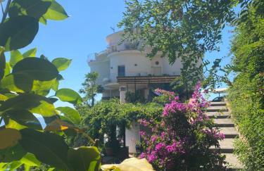 Villa Alcado - Photo 55