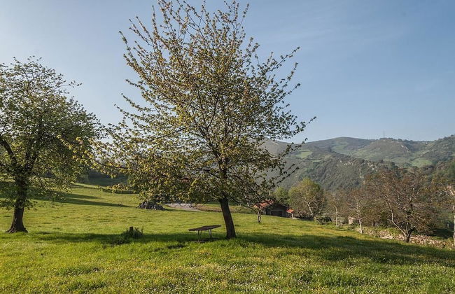 Agroturismo La Casona de Belmonte - Foto 43
