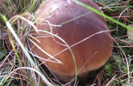 Ca l'Escolà - Foto 22