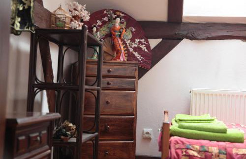 Orlik Mazury - Foto 13