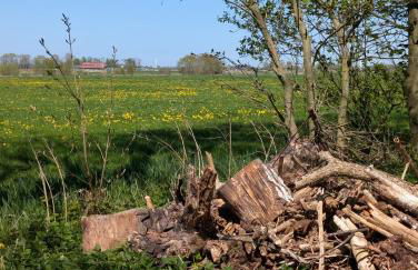 Traumkrone Ferienwohnungen - Wiesengrün - Foto 47