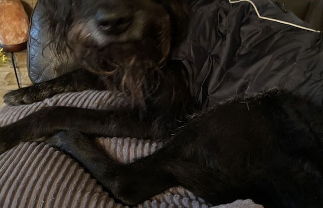 Charming 3-bed Holiday Home at Primrose Valley - Foto 17