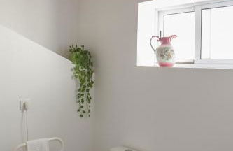 Água de Alto Main House - Photo 41