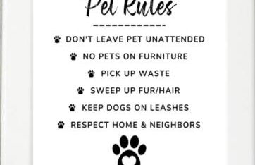 A huge Sprawling House on a large lot -15 minutes to St Louis - Foto 20