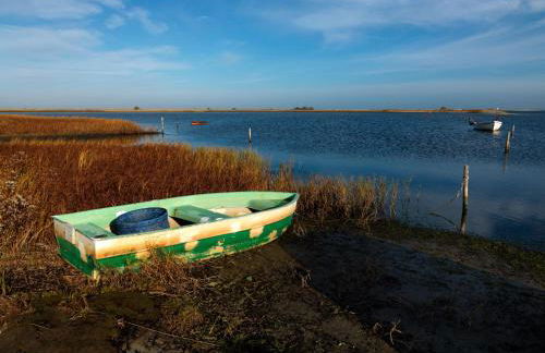 Gollwitzer Park Sturmvogel - Foto 9