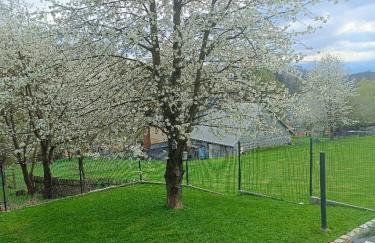 Chatka Mechatka - Foto 18