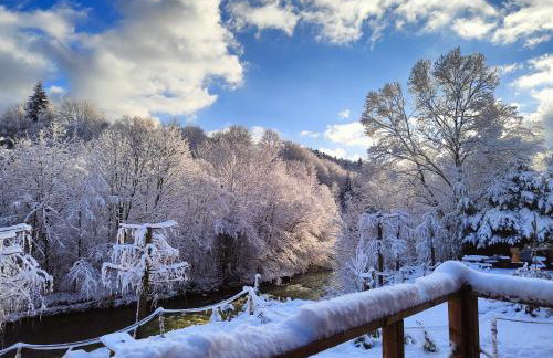 Księżycowe Domki w Bieszczadach - Foto 9
