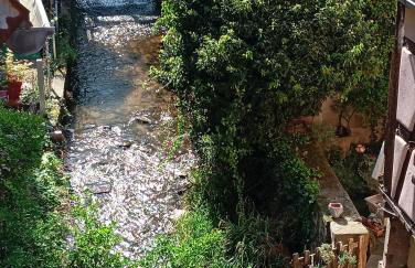 Les charmes de la Kirneck - Photo 42