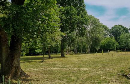 The Stable, Tollgate Farm Kent - Foto 18