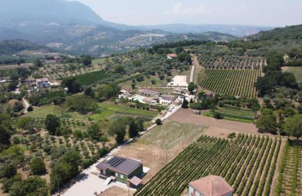 Il Poggio degli Antichi Sapori - Residence - Foto 4