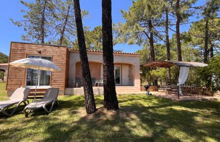 Domaine de Pianiccia - Foto 67