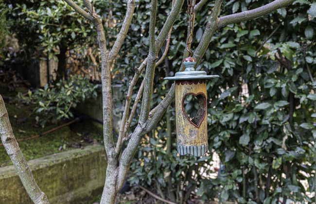 Villa Donatori - Foto 43