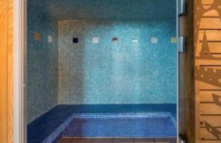 Aux pieds des pistes - Foto 13