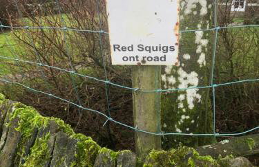 Rose Cottage. Family home on the river - Foto 76