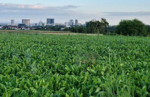 Bungalow, Uneinsehbar, 8 Personen maximal, 3 Personen oben, 5 unten - Foto 34