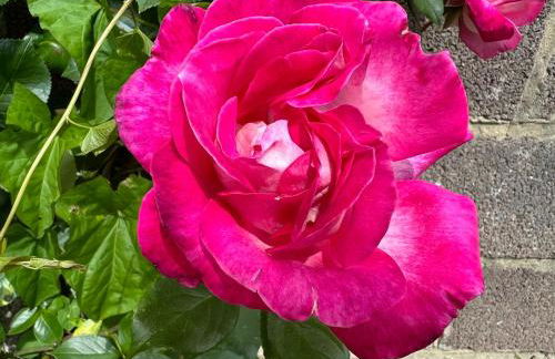 Hog Plum 2 Bed,Ground Floor, Centre Child Okeford - Photo 19