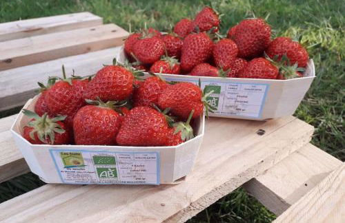 L’île aux fruits en Berry - Foto 30