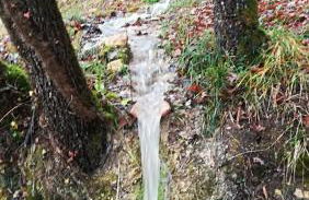 La JAVANAISE - Foto 10