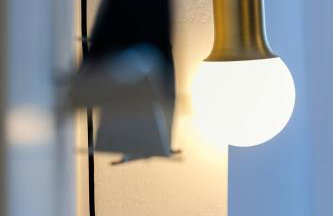 Elvis Nest - Photo 53