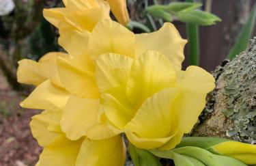 POUSADA FAZENDA PAIM - Foto 50