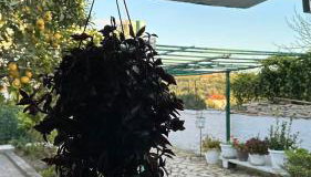 Michaela's house - Photo 2