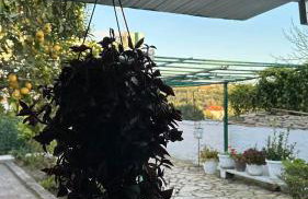 Michaela's house - Photo 2