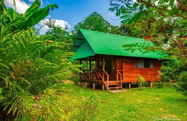 Quirquincho House - Foto 7