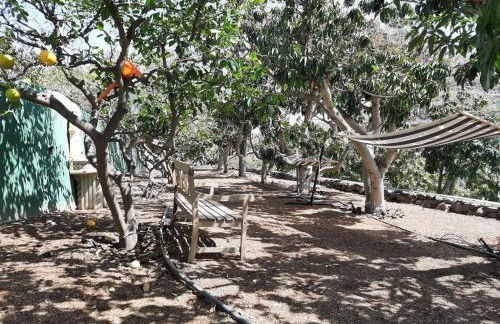 Finca Oasis Holidays & Health - Apartamentos con Rooftop Terrace - Foto 50