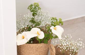 Guest house Oplonti Central - Photo 11