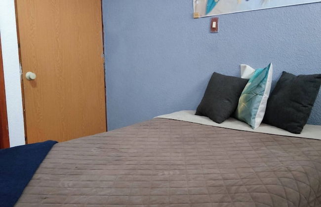 Mi Mejor Estancia Experience Authentic Mexican Charm - Foto 9