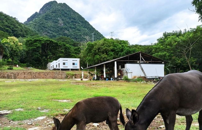 EcoHotel Montenegro - Photo 33