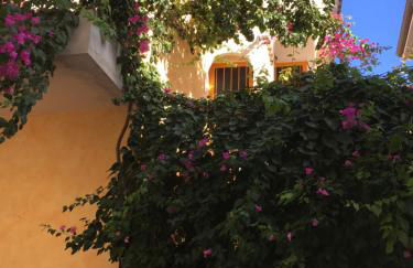 Casa Arborea - Foto 6